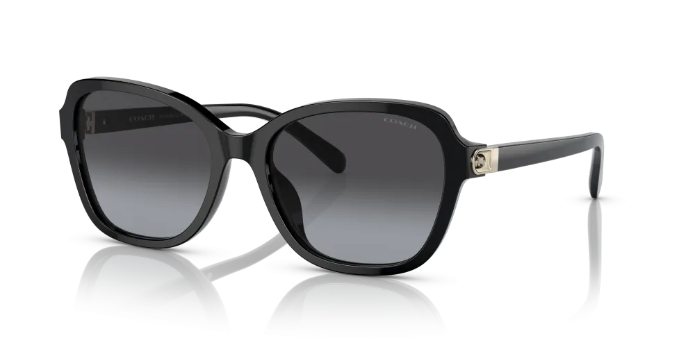 Coach Irregular Non-Polarized Sunglasses - Black/Gray Gradient