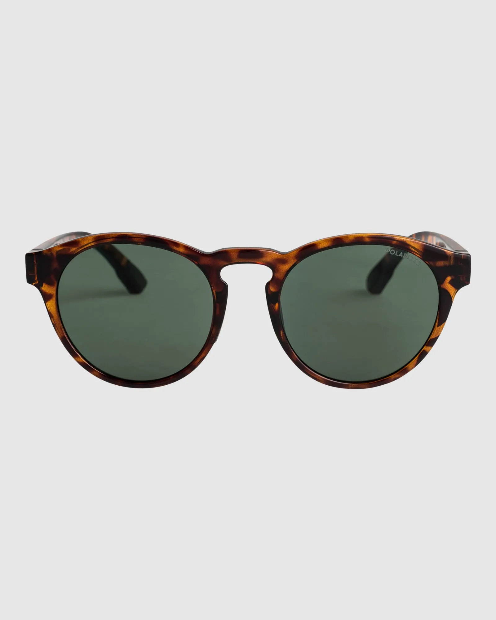 Ivi Polarized